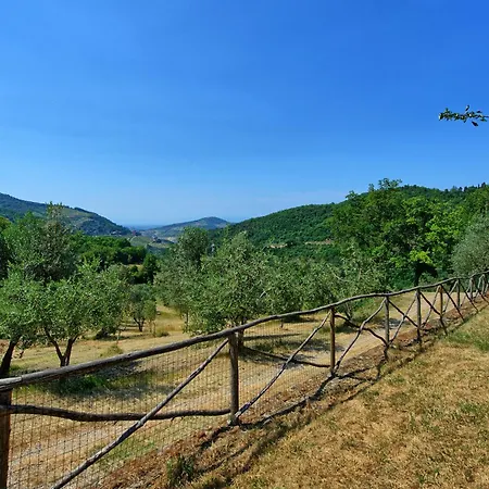 Poggio Conca By Posarellivillas Villa